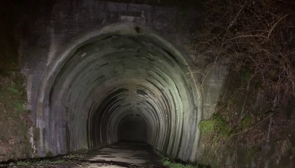 絶対行ってはいけない 山梨県【花魁淵（おいらんぶち）】 世界日本の絶対行ってはいけない場所